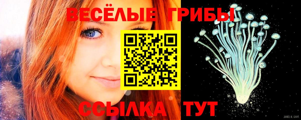 Галлюциногенные грибы Cubensis Невинномысск